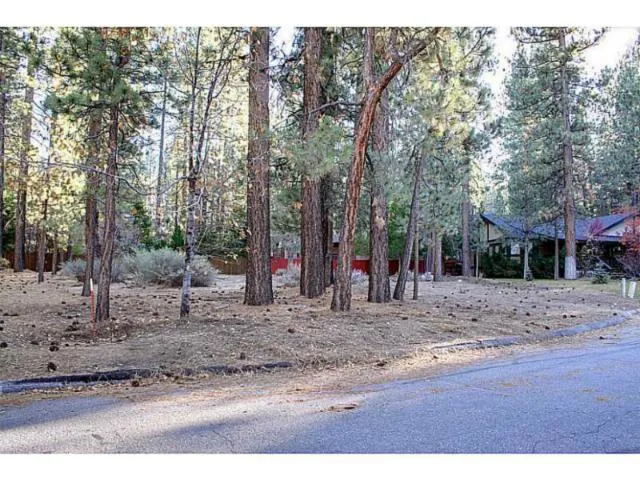 42055 Winter Park Drive, Big Bear, California 92315
