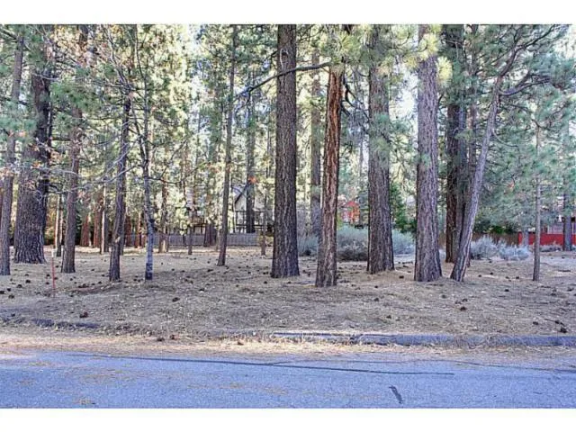 42055 Winter Park Drive, Big Bear, California 92315