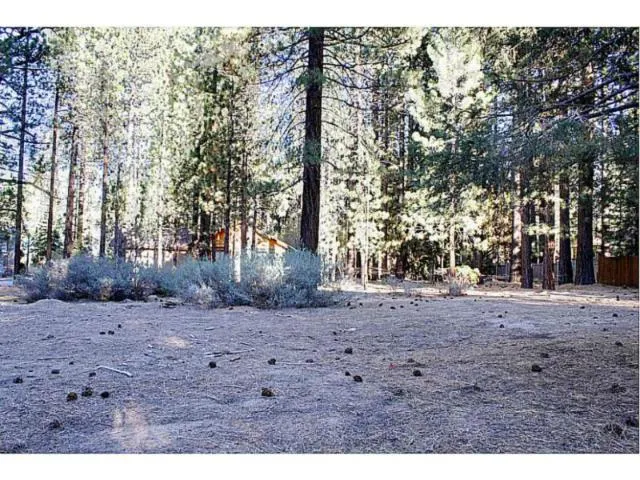 42055 Winter Park Drive, Big Bear, California 92315