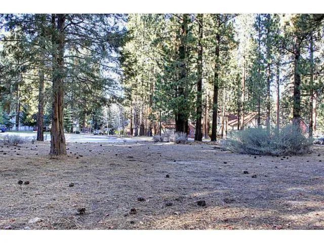 42055 Winter Park Drive, Big Bear, California 92315