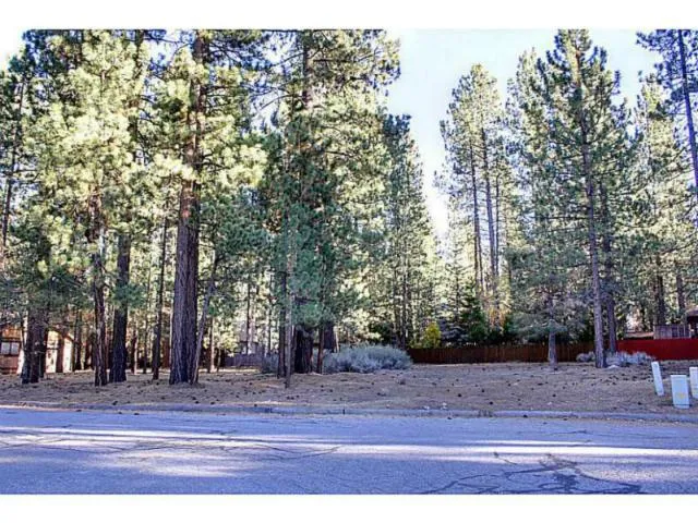 42055 Winter Park Drive, Big Bear, California 92315