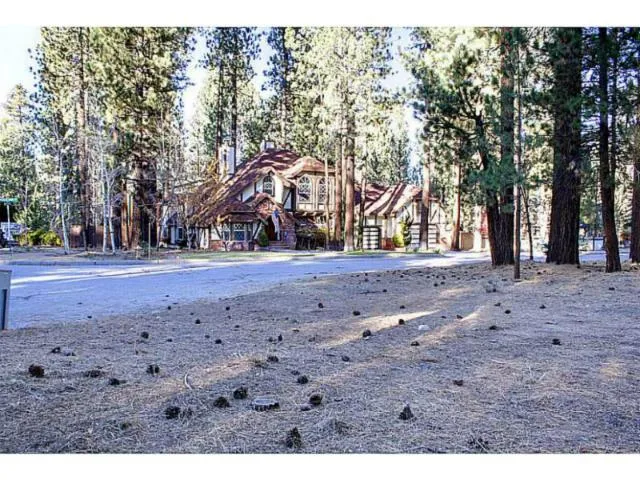 42055 Winter Park Drive, Big Bear, California 92315