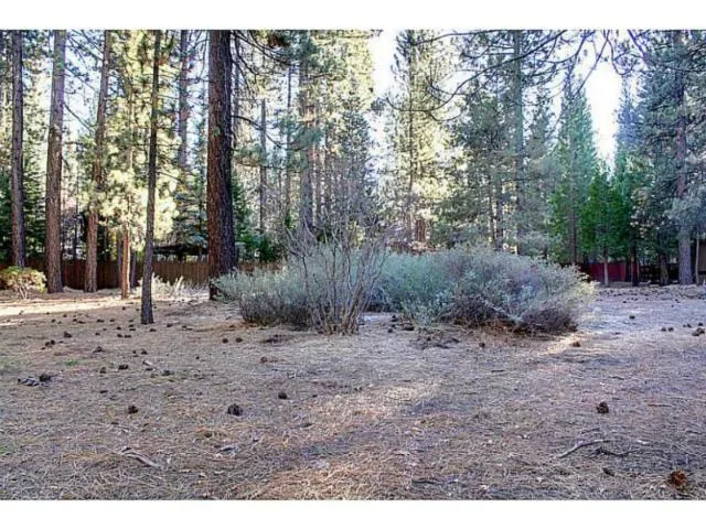 42055 Winter Park Drive, Big Bear, California 92315