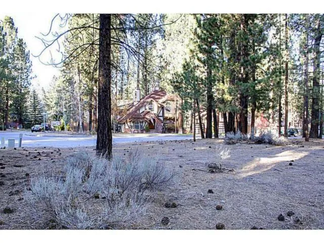 42055 Winter Park Drive, Big Bear, California 92315