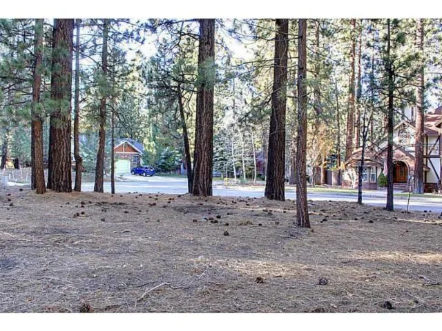 42055 Winter Park Drive, Big Bear, California 92315