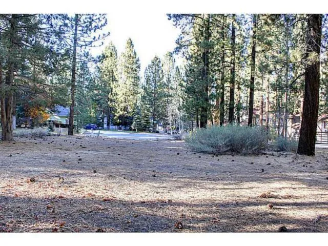 42055 Winter Park Drive, Big Bear, California 92315