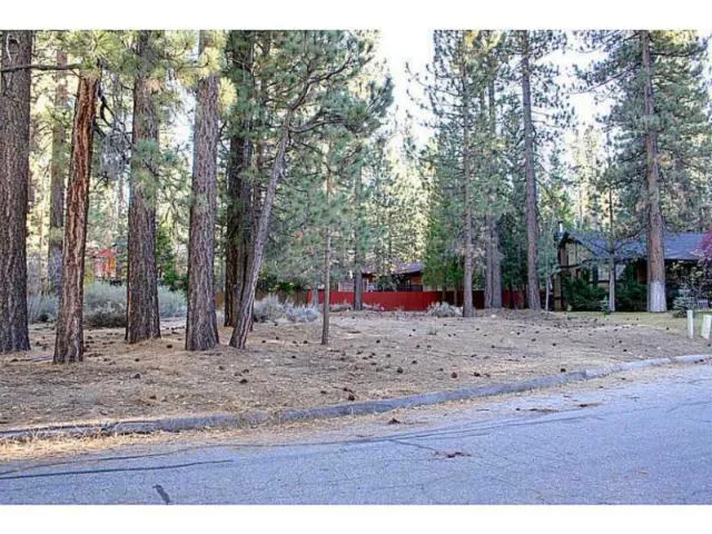 42055 Winter Park Drive, Big Bear, California 92315