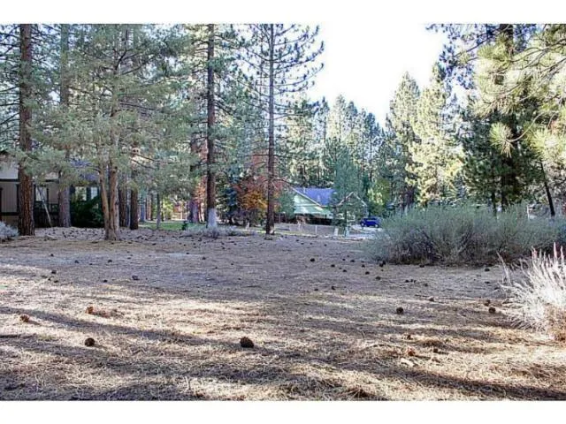 42055 Winter Park Drive, Big Bear, California 92315