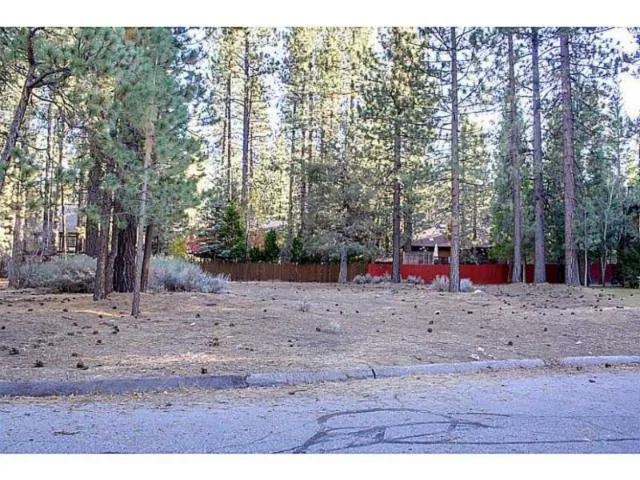 42055 Winter Park Drive, Big Bear, California 92315