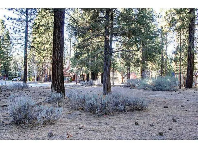 42055 Winter Park Drive, Big Bear, California 92315