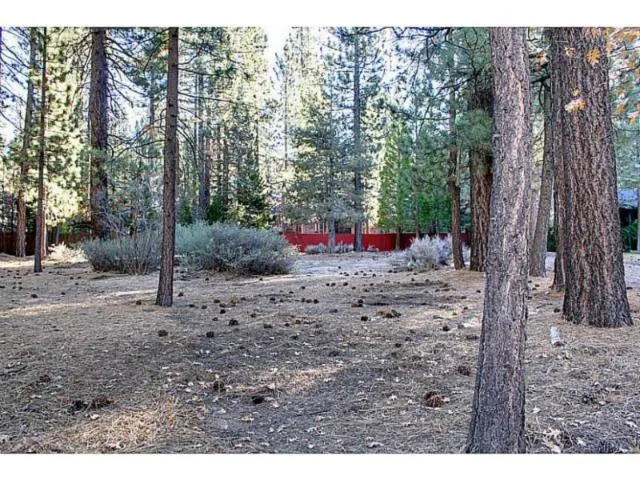 42055 Winter Park Drive, Big Bear, California 92315