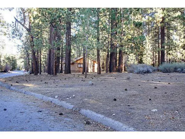 42055 Winter Park Drive, Big Bear, California 92315