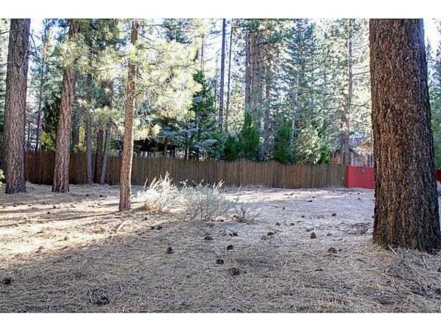 42055 Winter Park Drive, Big Bear, California 92315