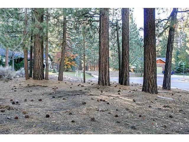 42055 Winter Park Drive, Big Bear, California 92315