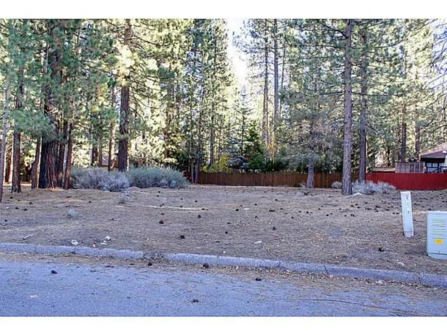 42055 Winter Park Drive, Big Bear, California 92315