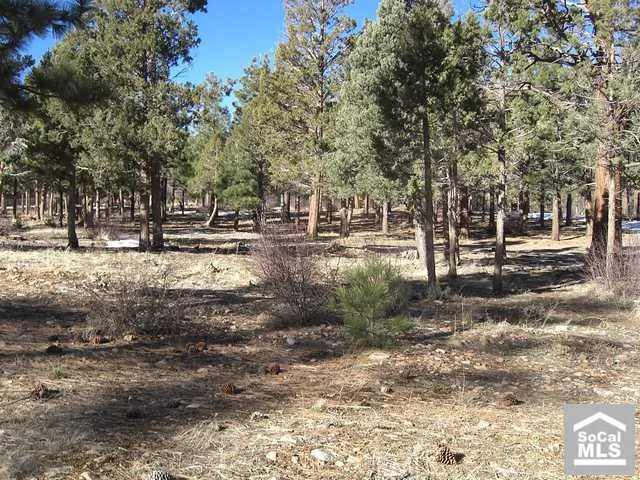 0 Heritage Trail Trail, Big Bear, California 92314