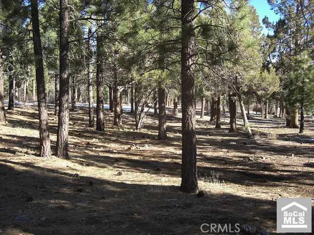 0 Heritage Trail Trail, Big Bear, California 92314