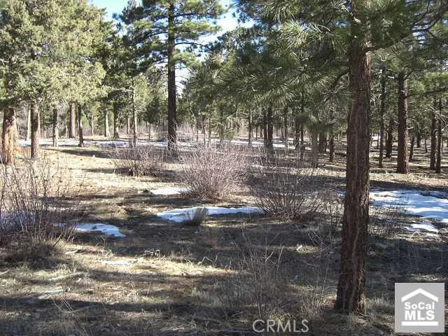 0 Heritage Trail Trail, Big Bear, California 92314