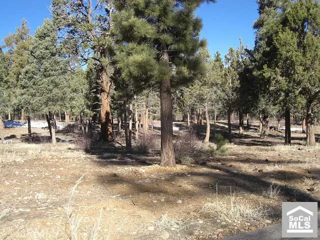 0 Heritage Trail Trail, Big Bear, California 92314