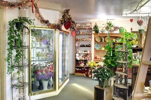 Little Green House