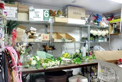 Little Green House