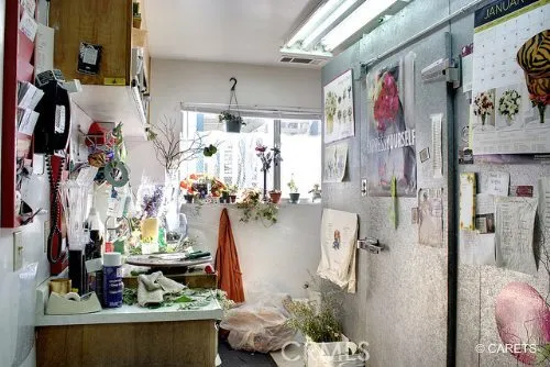 Little Green House