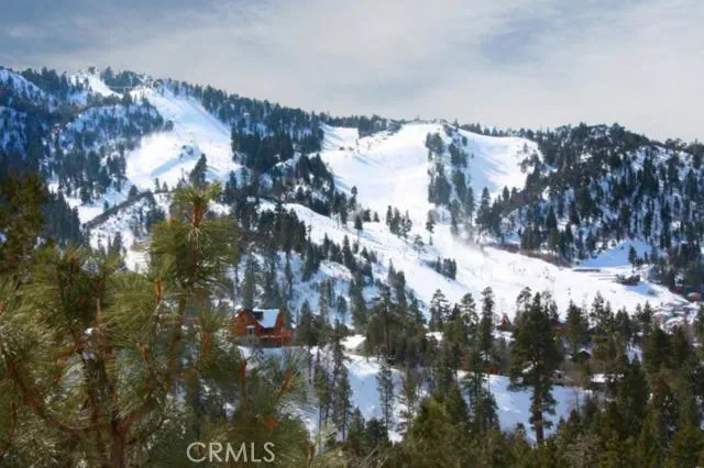 43595 Wolf Road, Big Bear, California 92315