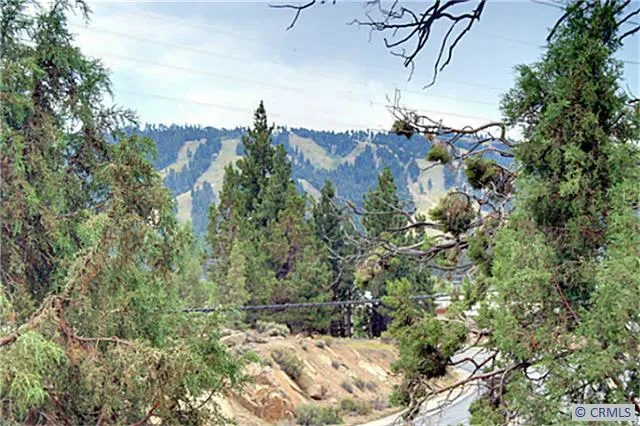 42053 Skyview, Big Bear, California 92315