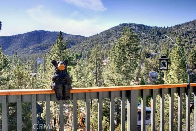 1099 Cedar Mountain Road, Big Bear, California 92314