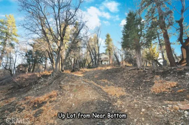 1203 S Minton Avenue, Big Bear, California 92314