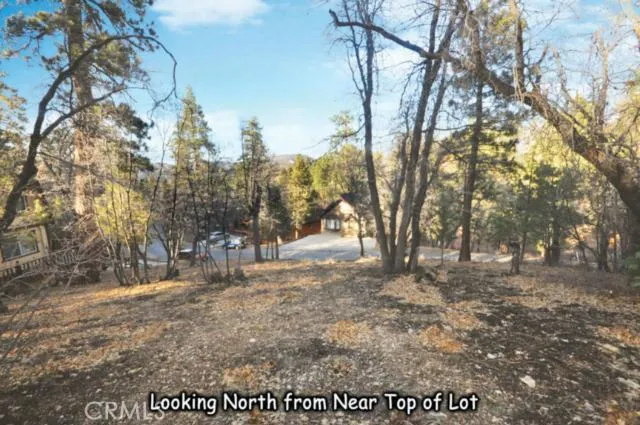 1203 S Minton Avenue, Big Bear, California 92314