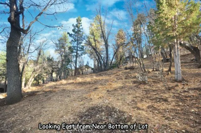 1203 S Minton Avenue, Big Bear, California 92314