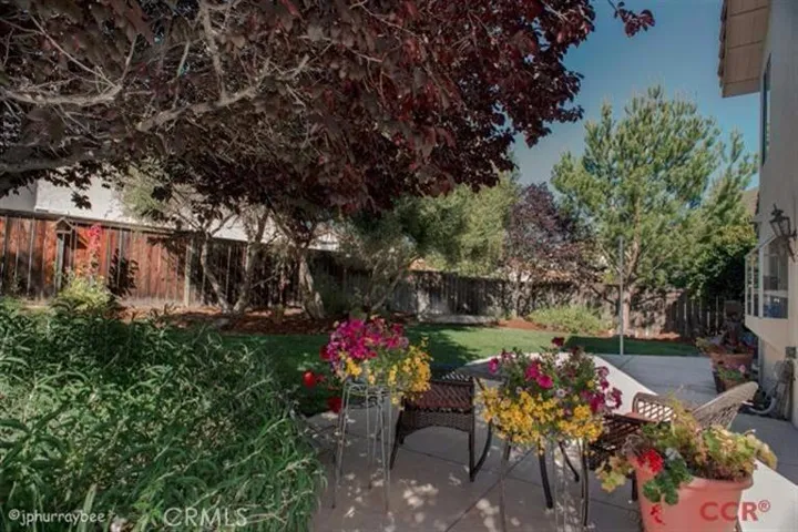 Gorgeous backyard with large patio and established greenery.