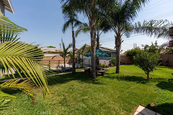 Backyard/Garage