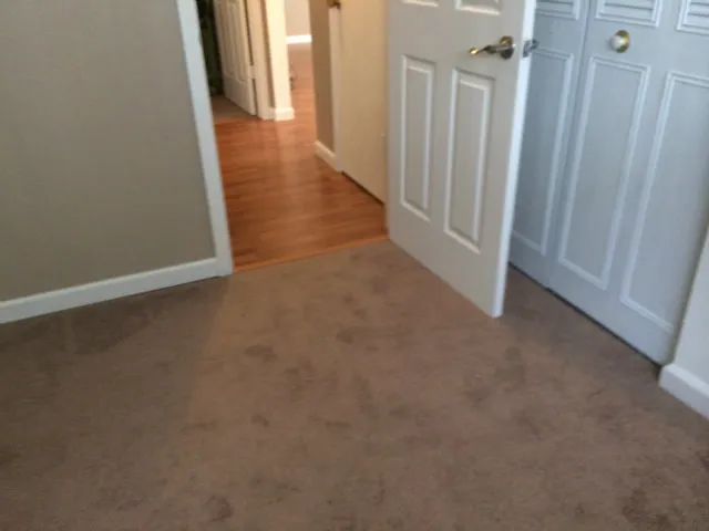 5715 Calmor Avenue 1, San Jose, California 95123