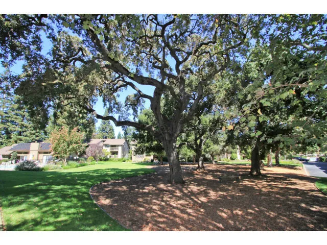 938 Clark Avenue 48, Mountain View, California 94040