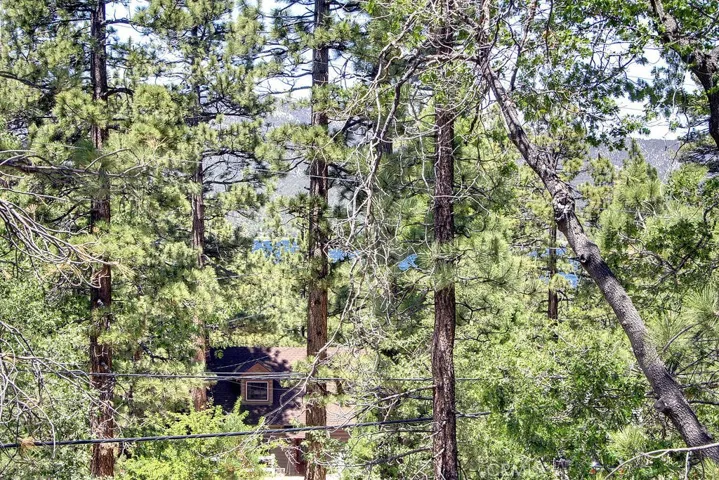 505 Wanita Lane, Big Bear, California 92315