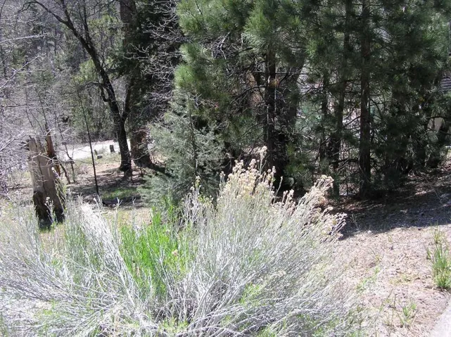 0 Ridge, Fawnskin, California None
