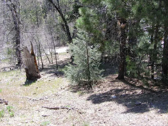 0 Ridge, Fawnskin, California None