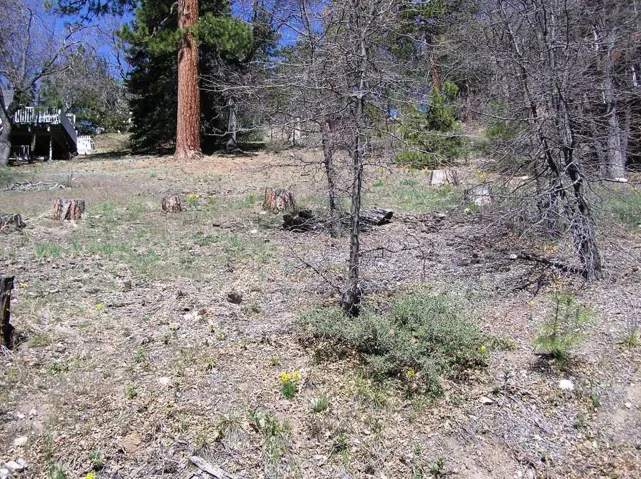0 Ridge, Fawnskin, California None