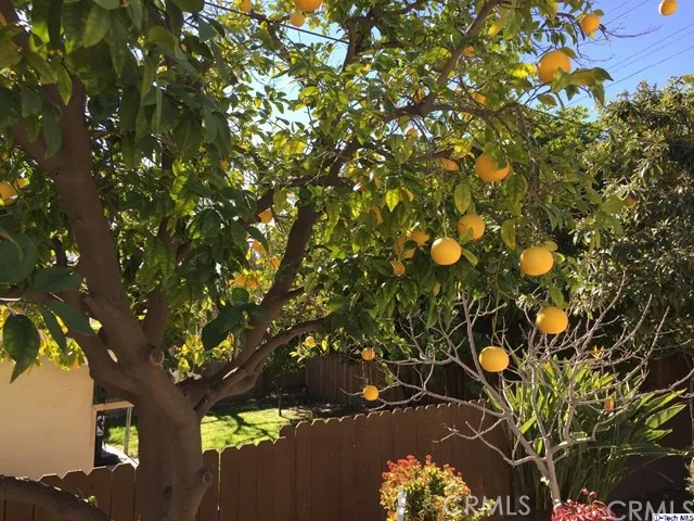 3323 Sparr Boulevard, Glendale, California 91208