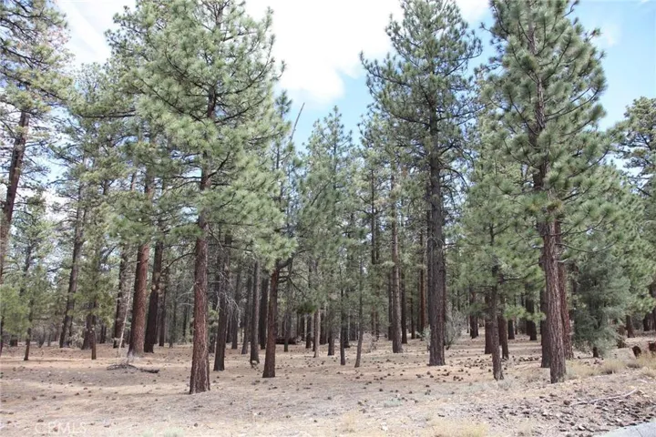 950 Wilderness Drive, Big Bear, California 92314