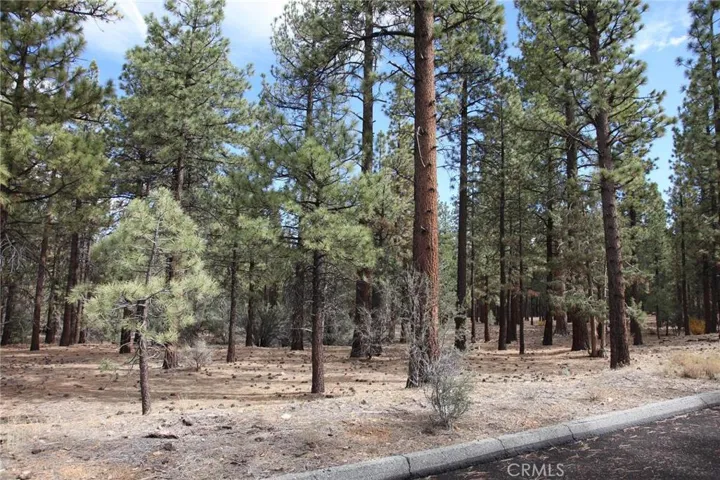 950 Wilderness Drive, Big Bear, California 92314