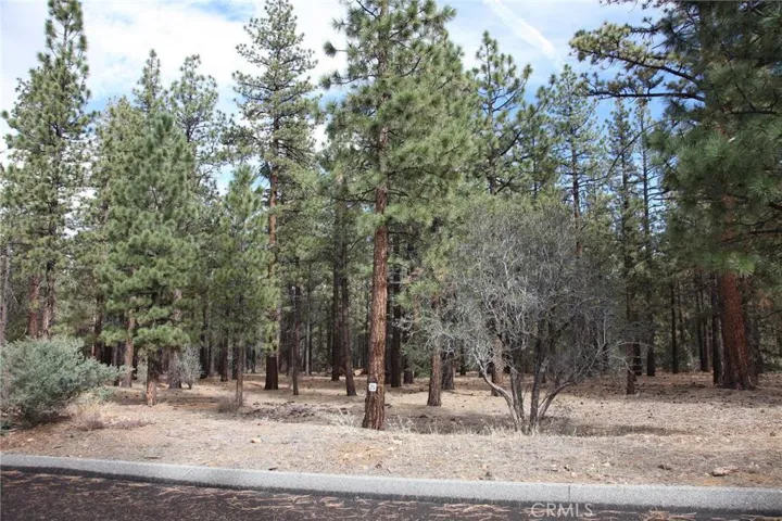 950 Wilderness Drive, Big Bear, California 92314