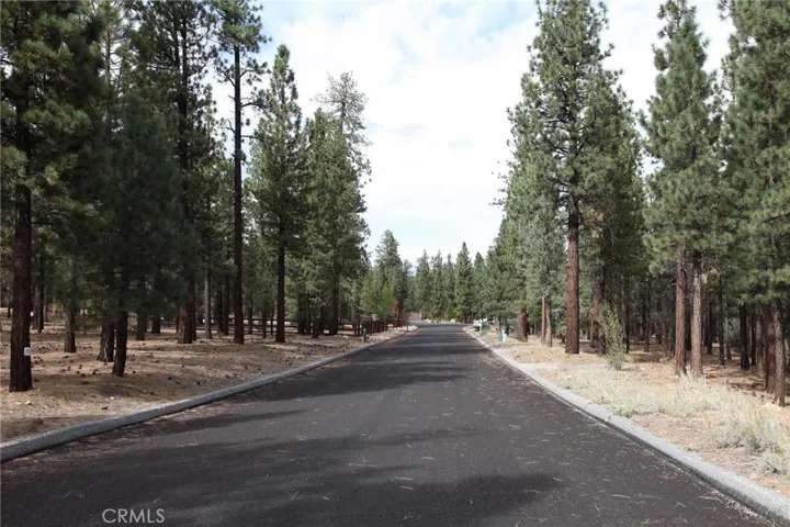 950 Wilderness Drive, Big Bear, California 92314