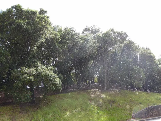 1920 Mantelli Drive, Gilroy, California 95020
