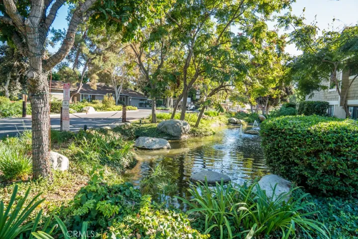 Picturesque Streams and Fountains