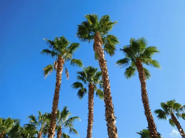 0 Amboy And Hollywood Lane, 29 Palms, California 92277