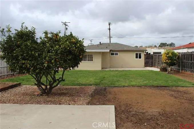 From back fence to back of house, cement pad for extra parking and a lemon tree!