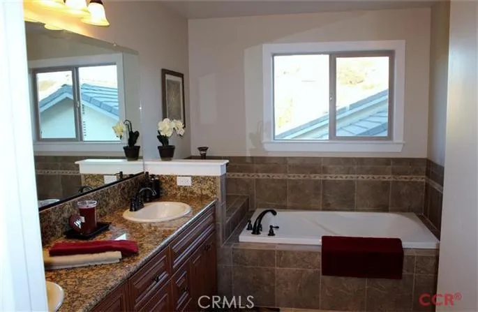 Master bath vanity and soaking tub